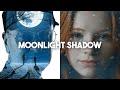 Moonlight Shadow - Mike Oldfield (LABACK EDM Cover)