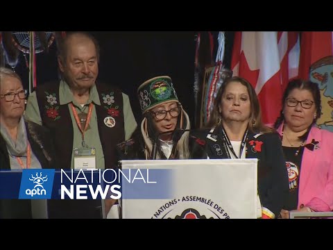 New review sheds light on sexual harassment, bullying inside AFN | APTN News