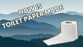 How is Recycled Toilet Paper Made