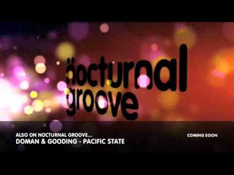 Danism & Calvin - Inside (Vocal Mix) : Nocturnal Groove