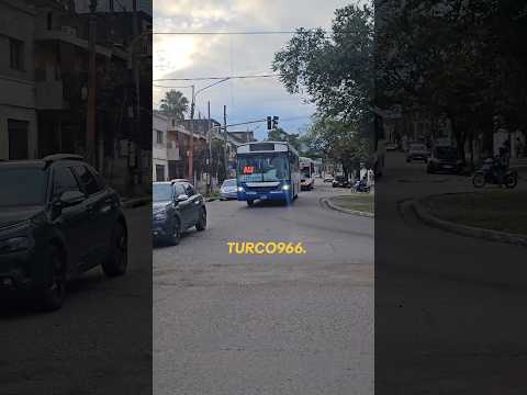 GRAL SAVIO. 138 ITALBUS BELLO MB 1418. JUJUY-PERICO X AUT. PAL BUS. INT 87. M T 2 MB OF 1519.