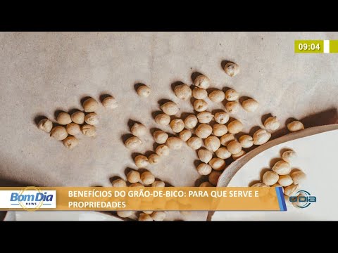 Benefícios do grão-de-bico: para que serve e propriedades 02 08 2021