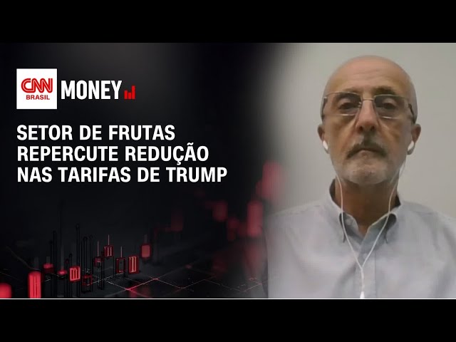Trump recuar tarifas em 10% não é grande vantagem ao setor de frutas, diz associação | MONEY NEWS