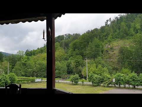 Pensiunea Mayumi Moneasa