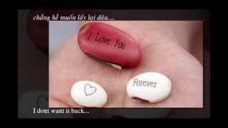 Notice me - David Archuleta Vietsub