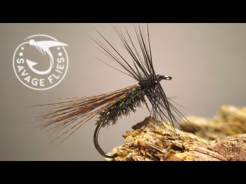 Warum ist dieses Muster so selten? (Die Erlen-Trockenfliege)