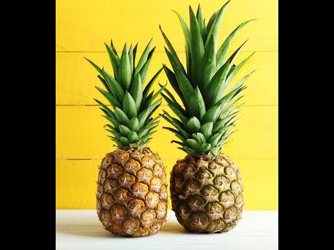 [FREE] Tropical Dancehall Pop Type Instrumental 2019