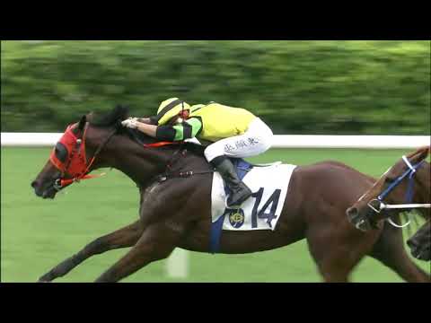 1/7/2021 (792) Dragon Commander - Dylan Mo