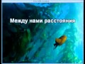 Я за тебя молюсь. 