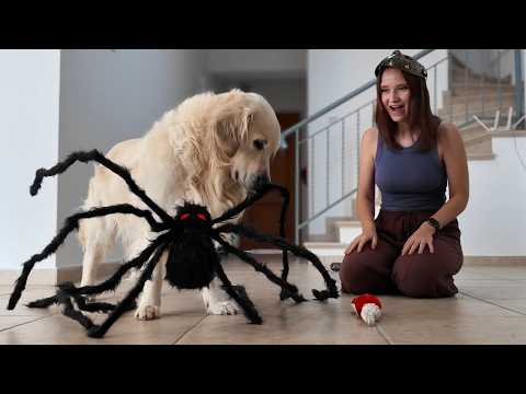 YouTube 썸네일