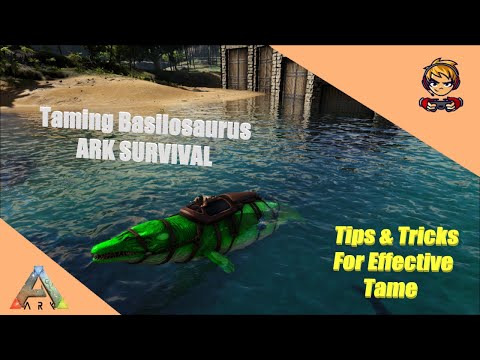 Best Way To Tame A Basilosaurus | Ark Survival Evolved | #2024