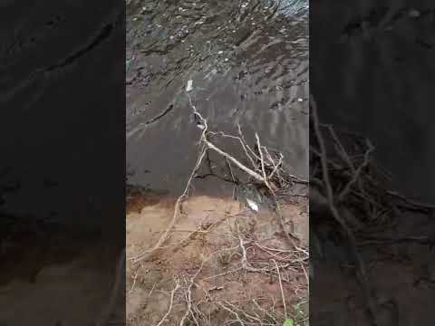 canal de los puestos contaminado