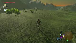 【SWITCH2】ゼルダの伝説　ブレスオブザワイルドを初見プレイ