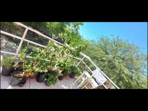 Amarraditos - Andres Simón Lipisky 