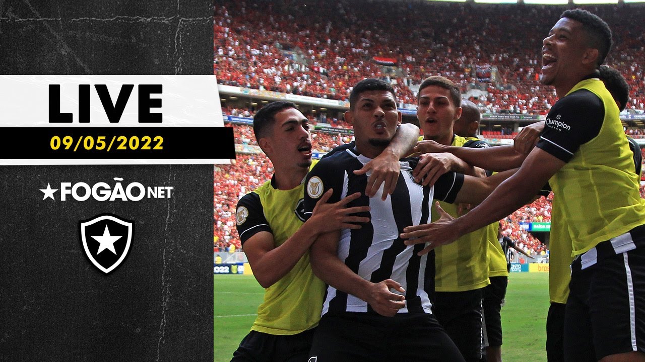 LIVE FOGÃONET: Alô, imprensa! Derrota do Flamengo? Não, vitória do Botafogo! 📺🔥