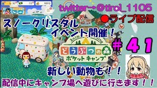 【どうぶつの森ポケットキャンプ】女性実況者まったりライブ配信＃４１【初見さん・コメント大歓迎】