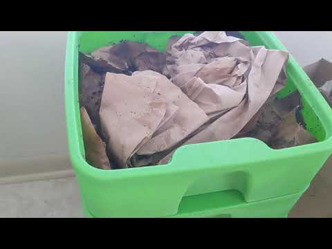 Hot Frog Living Composter Day 10 - Second Feeding - Vermicomposting