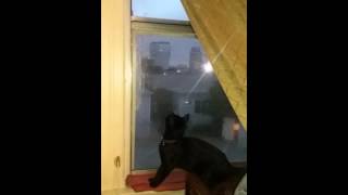 Download lagu Delilah and the Slug mp3