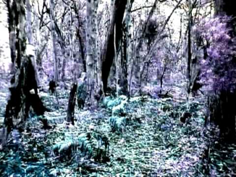 Lost Peacocks - Virus online metal music video by VIRUS