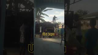 Download lagu ubi kayu‼️ #shortsvideo #fypシ゚viral #ubikayu #singkong mp3