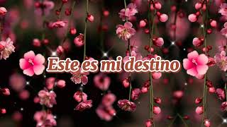 Mi Destino - Tercer Cielo [Letra]