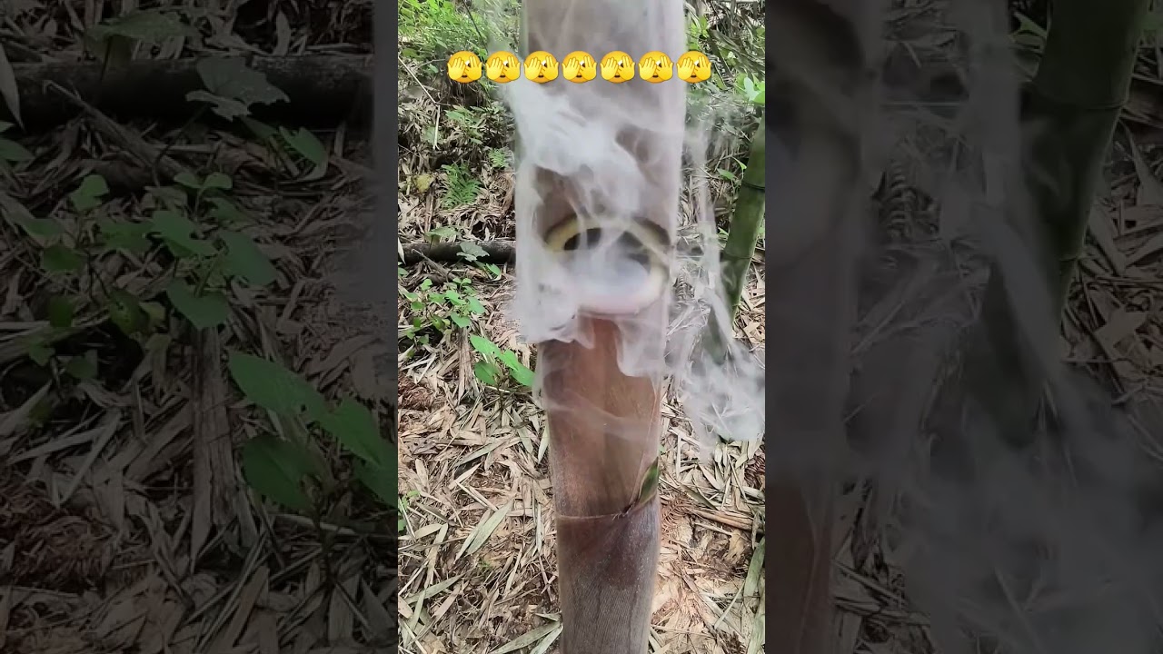 Patience isn’t about waiting—it’s how you act while you wait. 🧘‍♂️🕰️