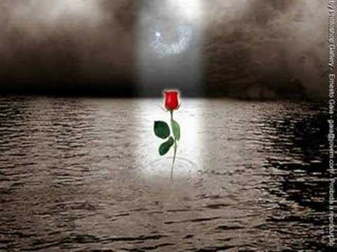 zero e paulo ricardo agora eu sei