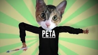 Why I Hate PETA