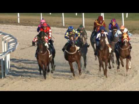 "Árvizi Hajós" HP 2000m