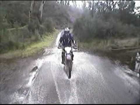 Bonedog Productions 2010 lost boys