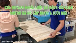Máy cưa đa lưỡi Đài Loan - Ripsaw nhiều lưỡi tải nặng FE-320-S6 giá tốt nhất tại #Fuvico