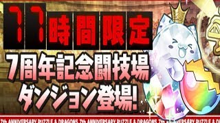 [7주년 기념 투기장/일퍼드] 코마상 S pt. (+ 보상 가챠)