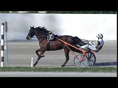 Napoli Trotto 29/01/2023 - 3ª corsa