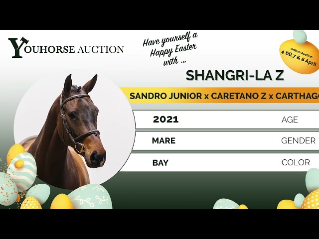 Shangri-La Z showvideo