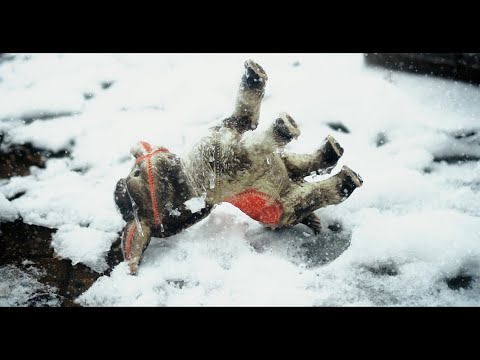 Snowfall In Austin, Texas! (Sony a6600+Sigma 16mm F1.4)