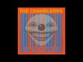 the chameleons lufthansa demo
