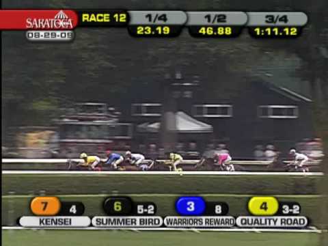 2009 Shadwell Travers (GI) - Summer Bird