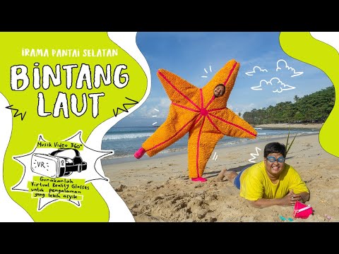 Irama Pantai Selatan ft. Dandi Ukulele - Bintang Laut (Official Music Video 360° VR)