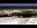 Ocean