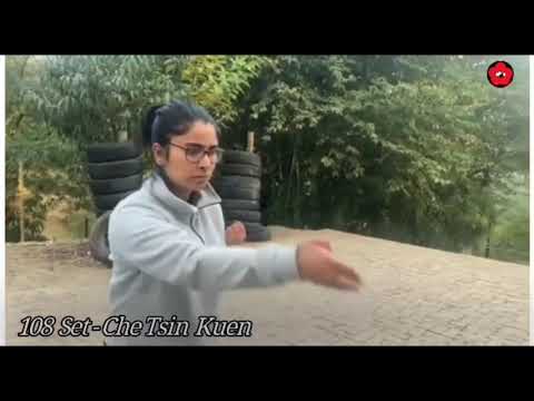 Wing Chun last empty hand form  - 108 set