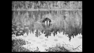 Idis Örlög - "The Lake"