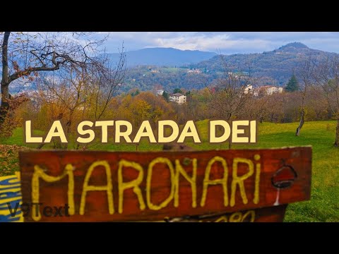 THE CHESTNUT MARKET ROAD in Valdagno (Vi)