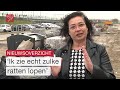Ratten slepen met huisvuil en bewoners boos om plan weg voor de deur | Dit is Flevoland