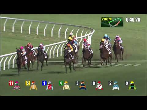 29/6/2022 (787) Equaletta Blitz - L Hewitson