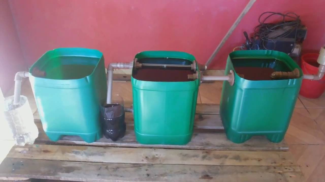 Teste Separador de Óleo - Prático