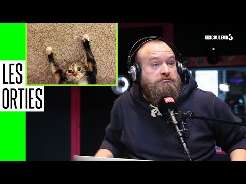 Les Orties - Les Chats