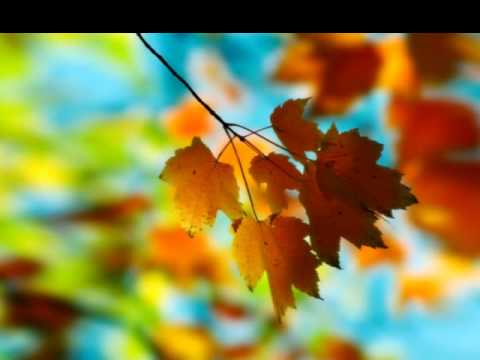Teu amor - Jean