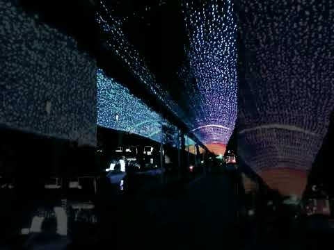 Avenida Júlio de Castilhos | Caxias do Sul RS