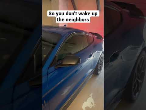 Thumbnail for Ford Mustang Mach 1 Cold Start Quiet Mode Timer #mustangmach1 #fordmustang #ford by Ford Mustang
