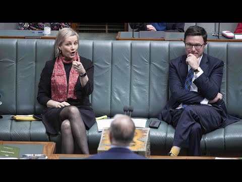 Divide over net zero 'ramping up' inside Coalition
